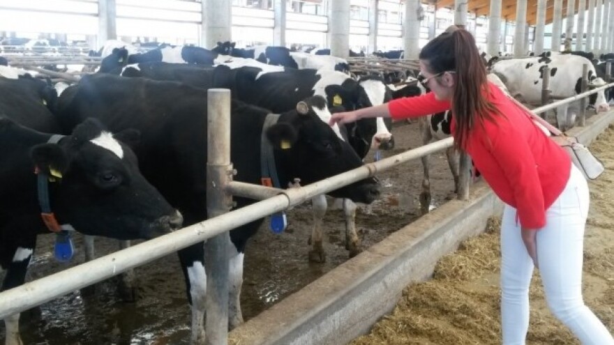 Ne ugovaraju proizvodnju jer se boje!