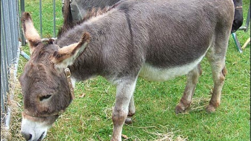 50 tisuća kuna za Tišnjanskog tovara