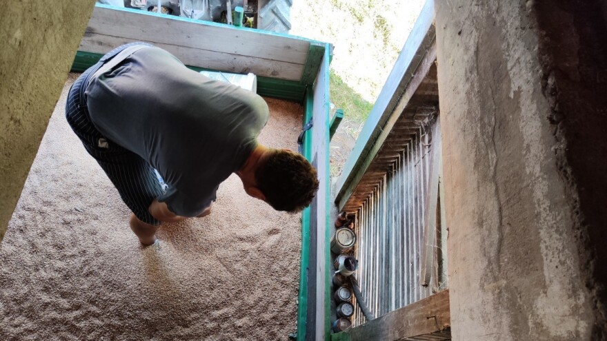 Katastrofalni rezultati žetve strnih žita u USK: Nikad gore!