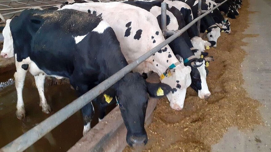 Mjere 4 i 6: Poslana nova 43 ugovora u iznosu od 30 milijuna kuna