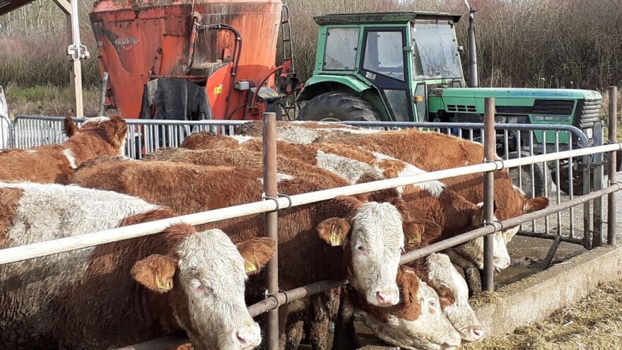 Uvjeti natječaja iz podmjere 4.1. i na što treba obratiti pažnju?