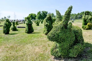Gotovo četiri stotine zelenih skulptura Vladimira Flegara u prvom hrvatskom topiary parku