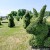 Gotovo četiri stotine zelenih skulptura Vladimira Flegara u prvom hrvatskom topiary parku