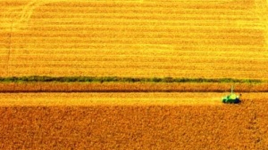 Ljudi - oni lupetaju