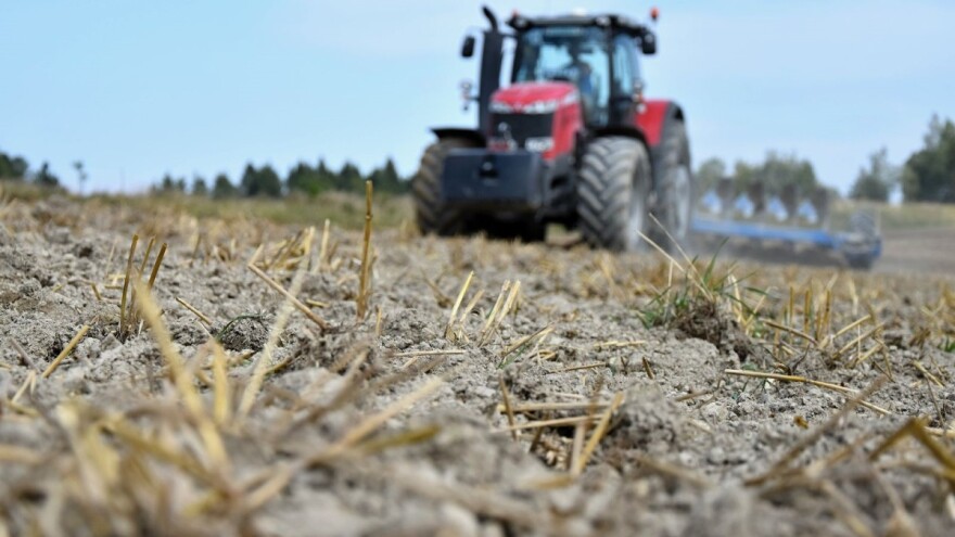 Kakve je posljedice ostavila sušna jesen na europskim ozimim usjevima?