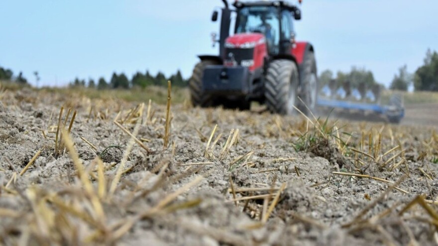 Kakve je posledice ostavila sušna jesen na evropskim ozimim usevima?