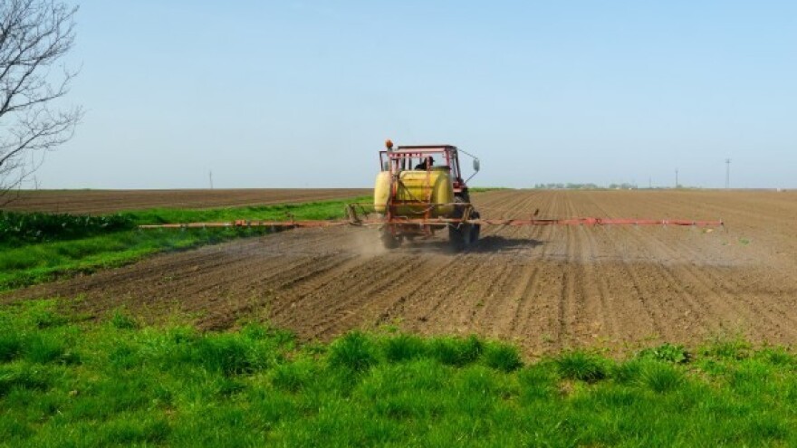 Nakon obilnih kiša opskrbite biljke dušikom