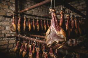 Tradicijom, izvornošću i kvalitetom u Europsku uniju