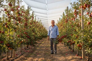 Tradiciju zamenili modernim zasadom