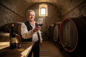 Tradicionalna vinarska manifestaca