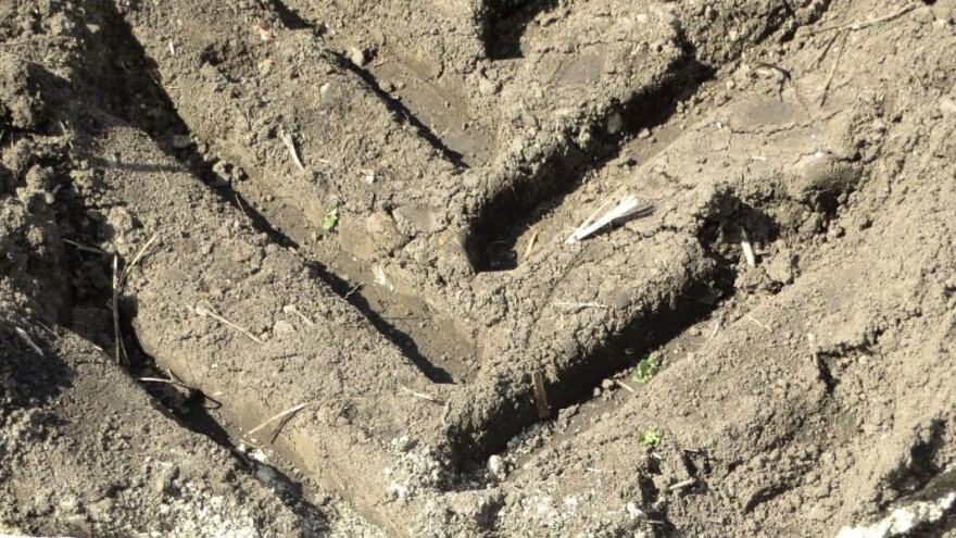 Sabijanja zemljišta hodnim sistemom traktora i njegove posledice