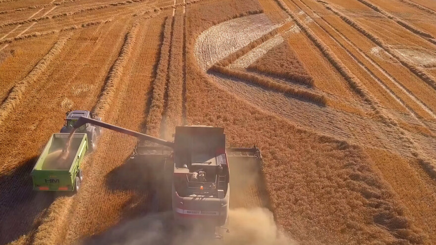 Krugovi u žitu, misterija koja to nije