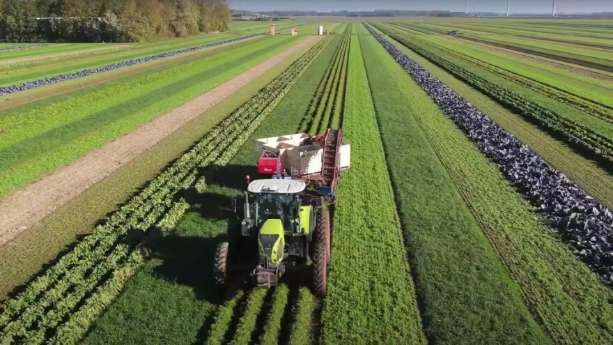 Uzgoj u trakama čuva plodnost zemljišta, bioraznolikost, a povećava i prinos