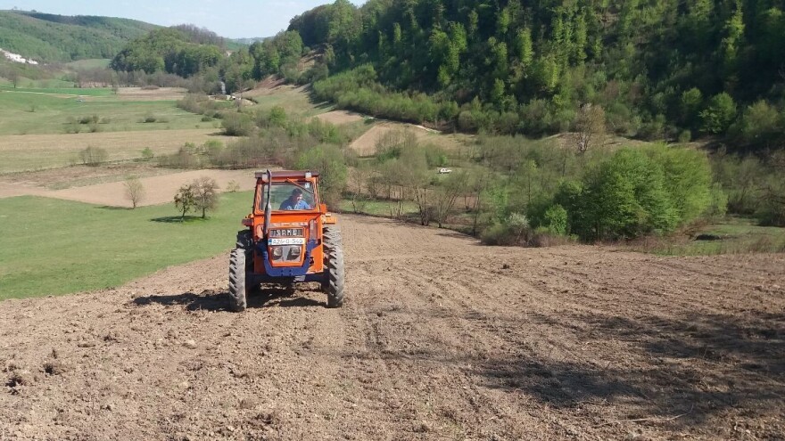Koliko smo zasijali u jesenjoj sjetvi - manje nego godinu ranije