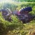 Traktorista teško povrijeđen u sudaru kod Čapljine