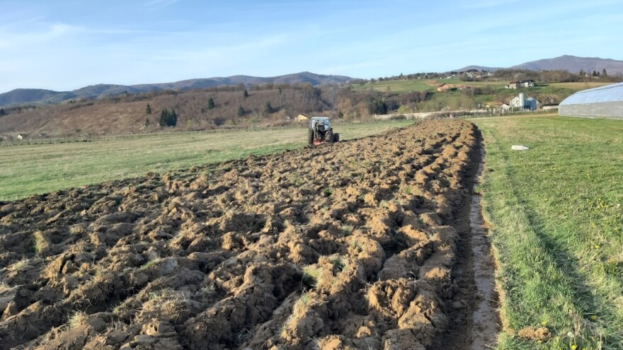 10 nezaobilaznih savjeta za organsku proizvodnju