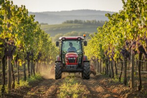 Traktor BCS Vithar AR