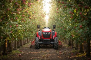 Traktor BCS Volcan SDT DS