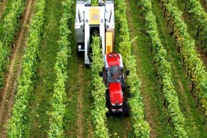 Antonio Carraro u TotY donosi najuži traktor s oscilirajućom osovinom