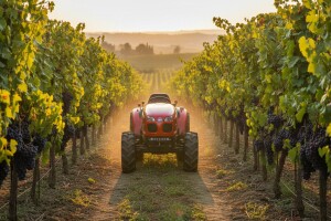 Traktor Carraro Agritalia Agricube široki vinogradarski