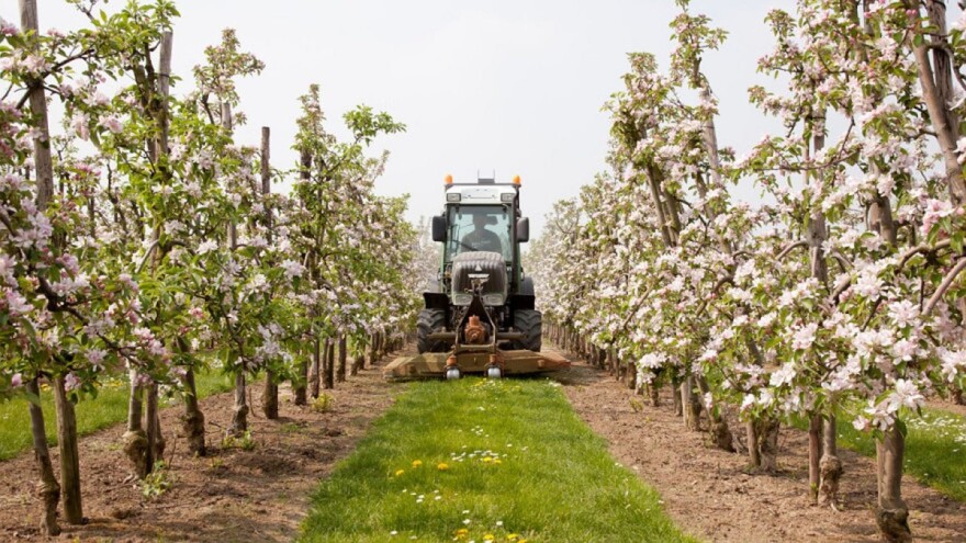 Petina samozaposlenih u EU radi u poljoprivredi