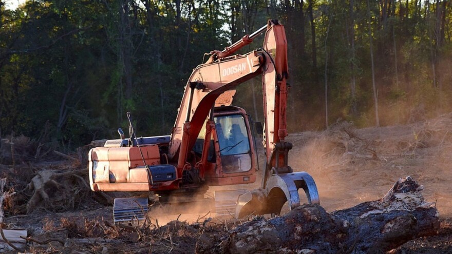 Krčenje šuma poraslo u poslednjih nekoliko godina - koja EU zemlja prednjači?