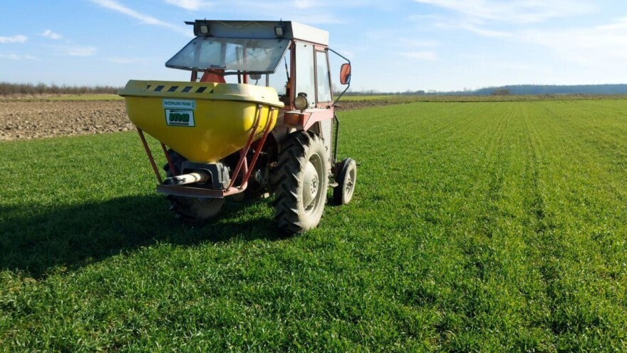 Da li đubrenje pšenice s 15-15-15 sada smisla ili je to bacanje novca u vetar?