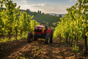 Traktor Goldoni Euro