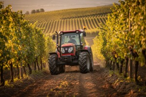 Traktor Goldoni Quasar