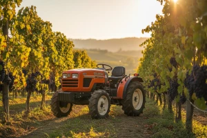 Traktor Goldoni Ronin