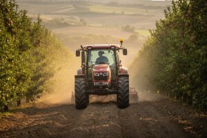 Traktor Goldoni Star 100