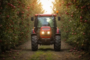 Traktor McCormick F