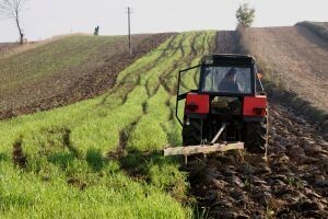 Pad dohotka u poljoprivredi za 800 milijuna kuna