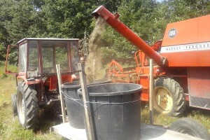 Na šta treba da obratite pažnju kod kalijevih đubriva