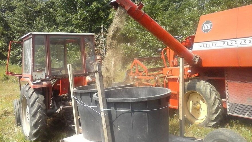 Na šta treba da obratite pažnju kod kalijevih đubriva