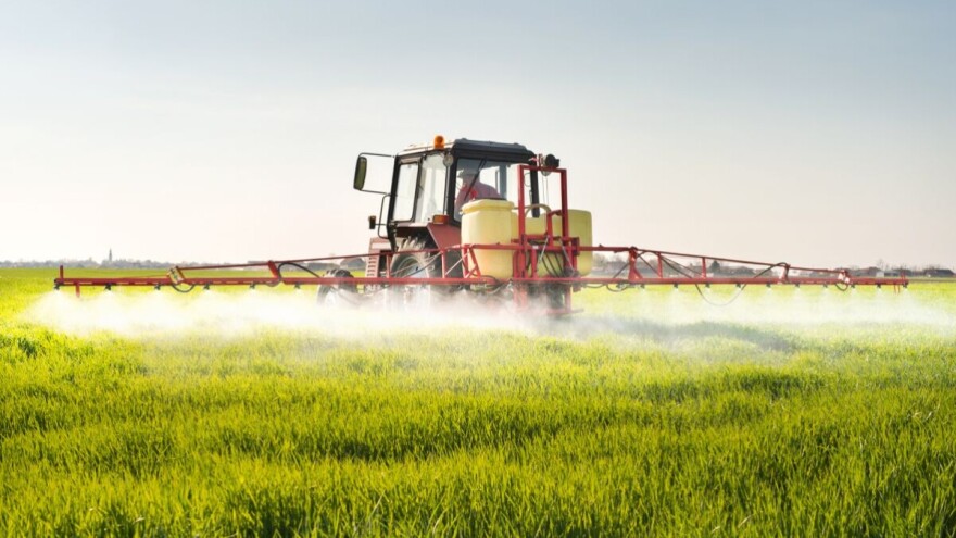 Posle nestabilnih vremenskih prilika, zaštitite pšenicu od mogućih zaraza