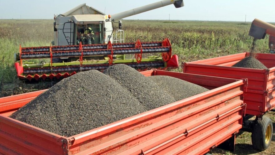 Turska ukida carine na uvoz suncokretovog ulja iz Srbije