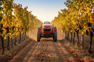 Traktor Same Frutteto F/S/V