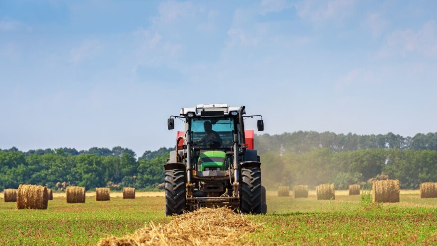 U sjevernoj i srednjoj Evropi izdano narančasto upozorenje - ima li straha od suše?