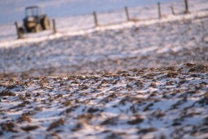 Usjevi gladni mraza - vrijeme je za nevrijeme?