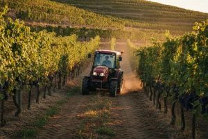 Traktor Valpadana VP 3600 F-GE-GT