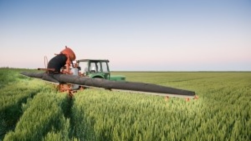 Zaštita ozimih žitarica i uljane repice od korova