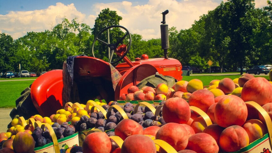 Objavljen pravilnik za nabavku traktora!