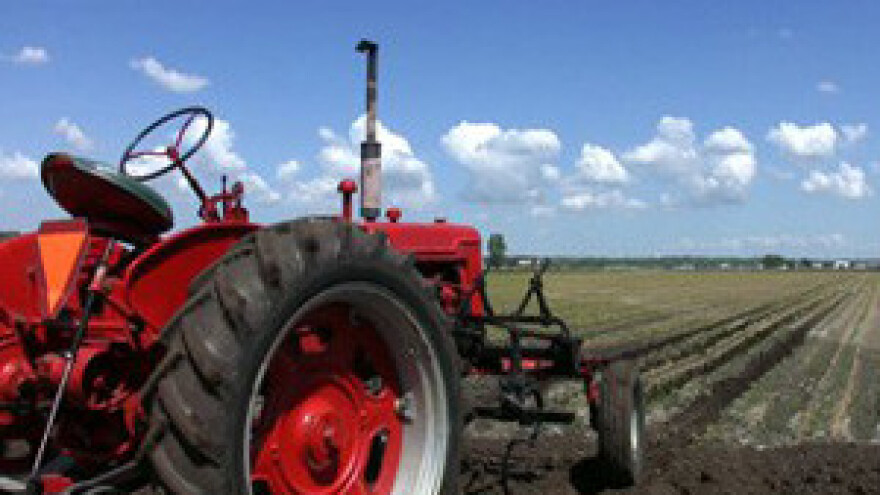 Proljetna sjetva bez potpora za ratarske kulture