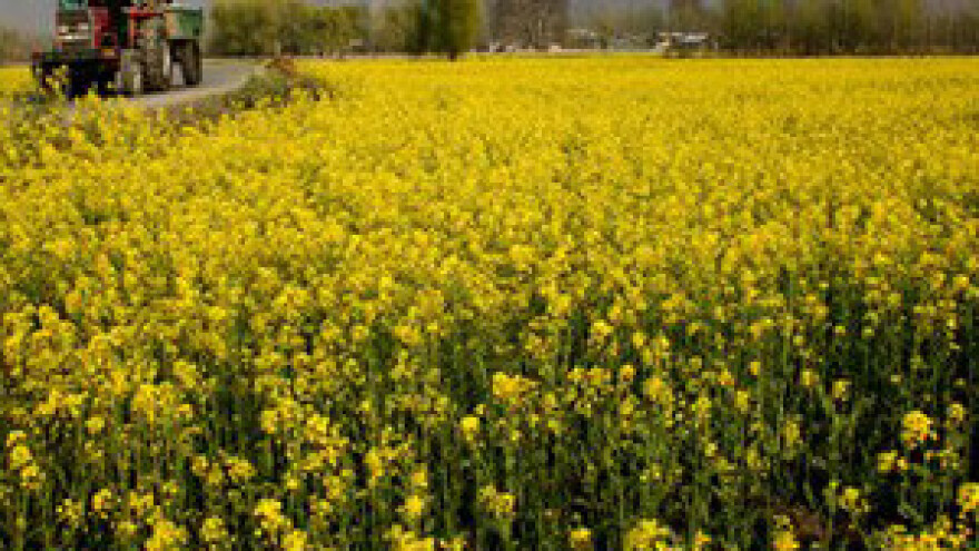 Linić: Zločin je imati poljoprivredno zemljište i ne obrađivati ga