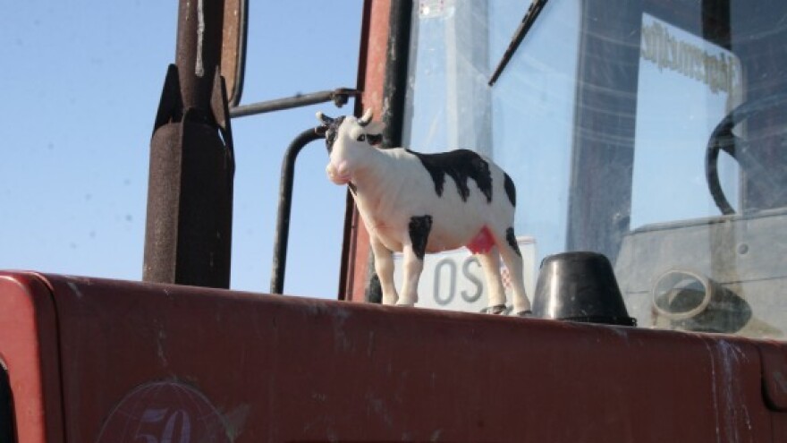 Prosvjed proizvođača mlijeka u Donjem Miholjcu