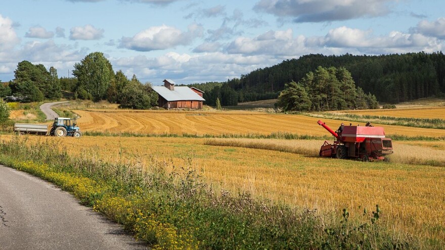 Ovsene pahuljice su nova Nokia za Finsku?