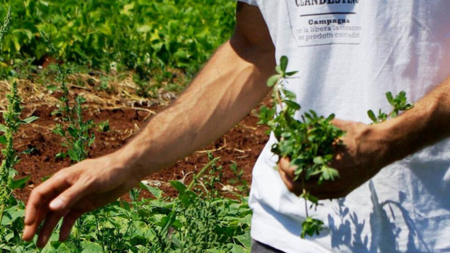 Dođite u Pulu na predavanje i razmjenu sjemena