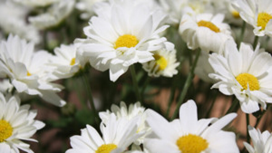 18. Osječki proljetni sajam