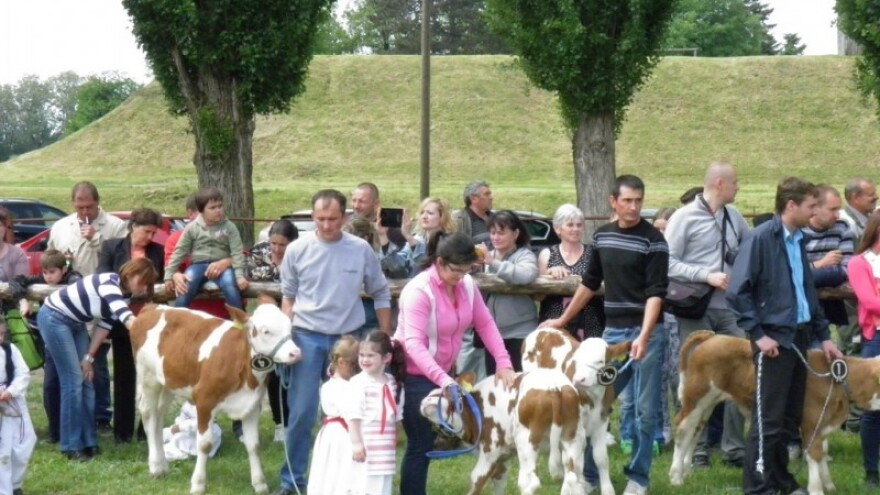 Nagrade najboljim podravsko-prigorskim stočarima